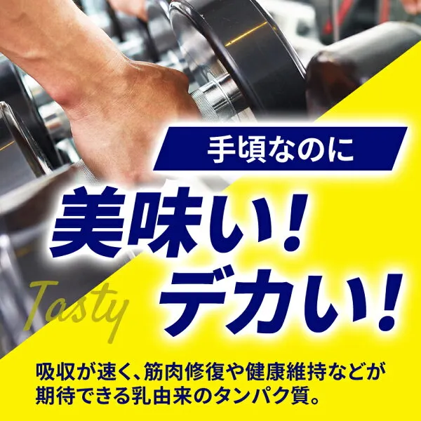 WPC 100%ナチュラルホエイプロテイン 3kg サンプル