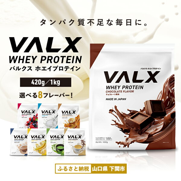 VALX ホエイ プロテイン 1kg/420gで「筋肉分解抑制」！宅トレ効果を最大化する摂取戦略